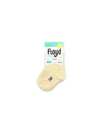 MEDIA    FLOYD     LISA     T.00     PAR