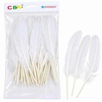 PLUMAS    C.B.X. GALLO            X 20GS