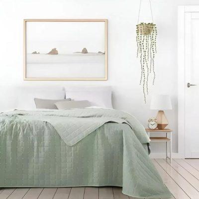 Cover ALCOYANA BURGOS - 1½ Plaza